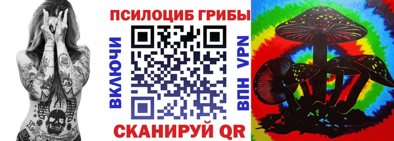 Галлюциногенные грибы Psilocybe  ссылка на мегу tor  Вичуга 