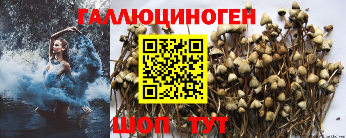 Псилоцибиновые грибы ЛСД Вичуга