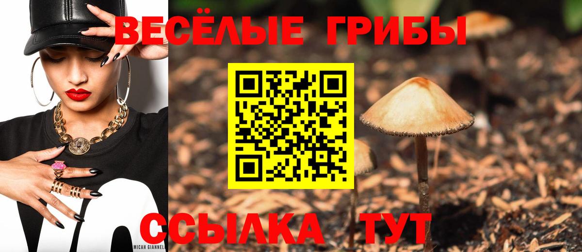 Галлюциногенные грибы Psilocybe  Вичуга 